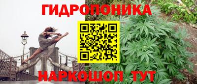 шишки Кунгур
