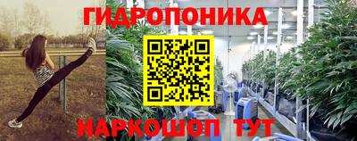 шишки Кунгур