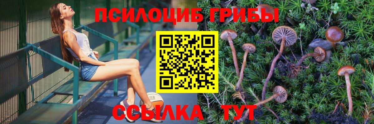 Галлюциногенные грибы GOLDEN TEACHER Холмск
