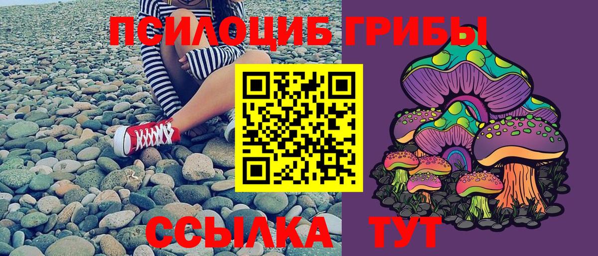 Галлюциногенные грибы прущие грибы  Вход с VPN  Холмск  Галлюциногенные грибы мицелий 