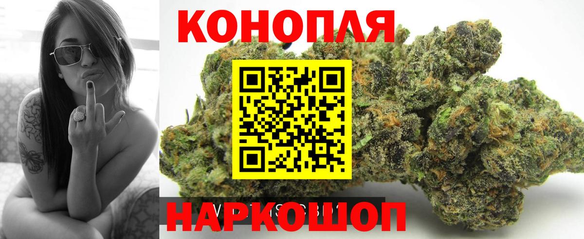 Бошки марихуана Amnesia Холмск